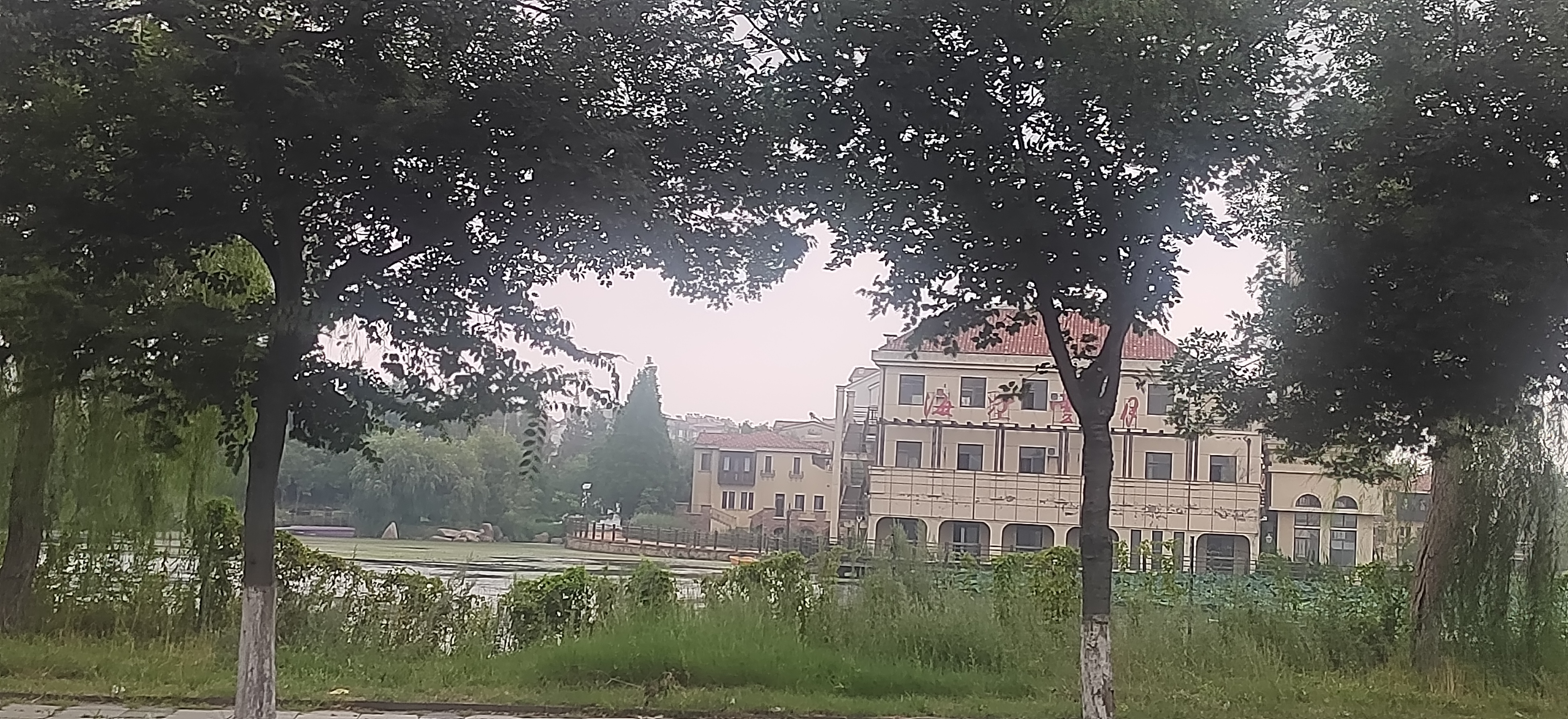 漂亮的公寓